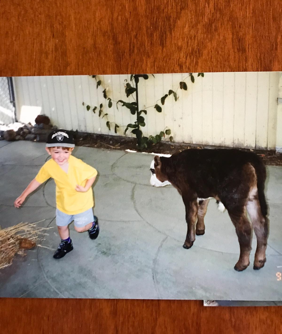 Buddha Nature: Awakening the Inner&nbsp;Child.