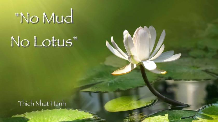 no-mud-no-lotus.jpg