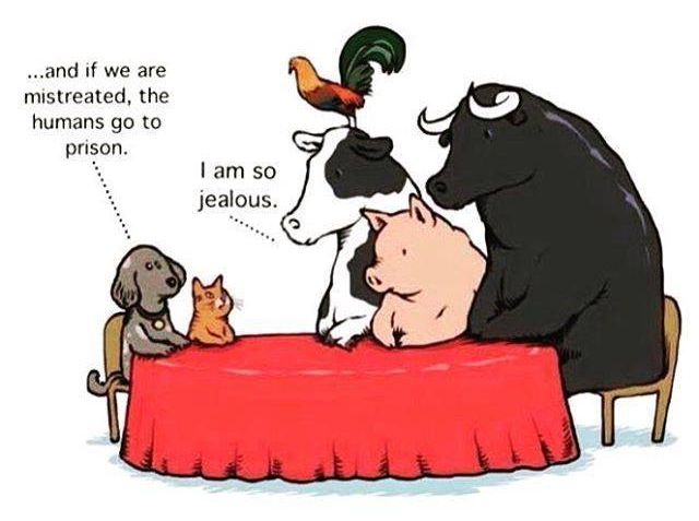 56c0470375ee844ede1ed7dbad6f4dbd