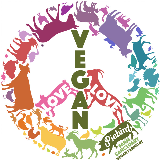 vegan_love_peace_shirt2