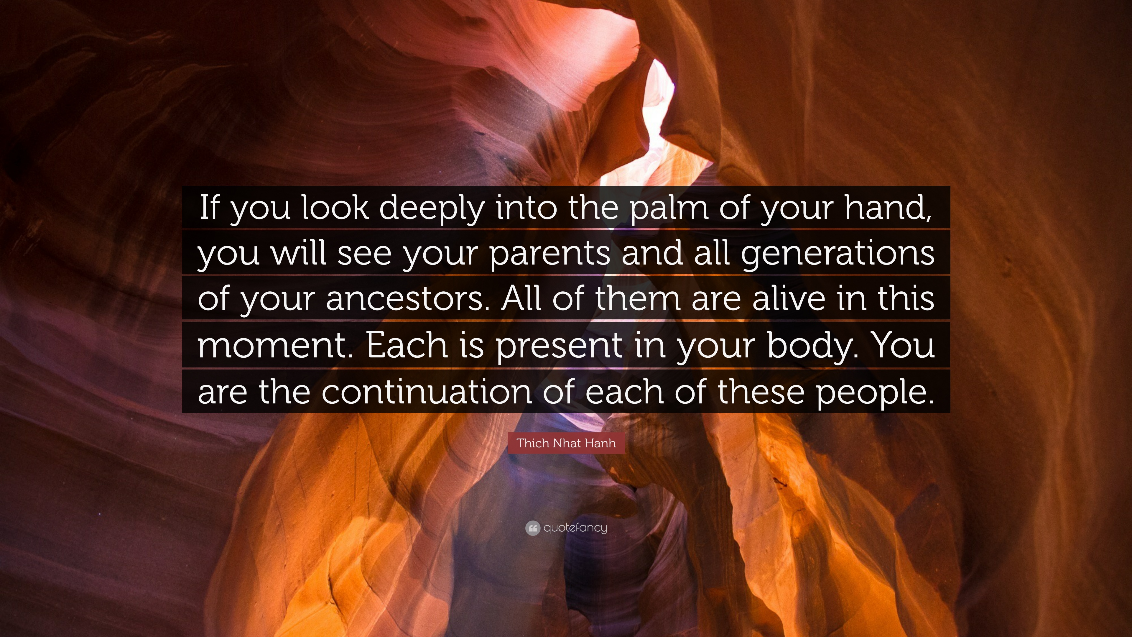 1688722-Thich-Nhat-Hanh-Quote-If-you-look-deeply-into-the-palm-of-your
