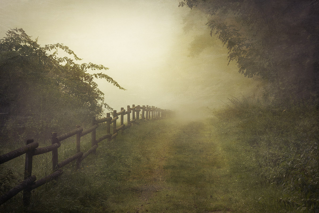 My Path into the&nbsp;Unknown.