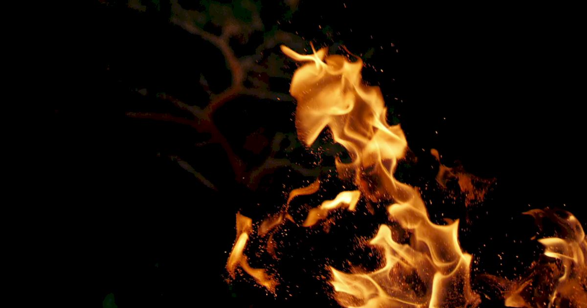 The Ghosts of Our&nbsp;Past.