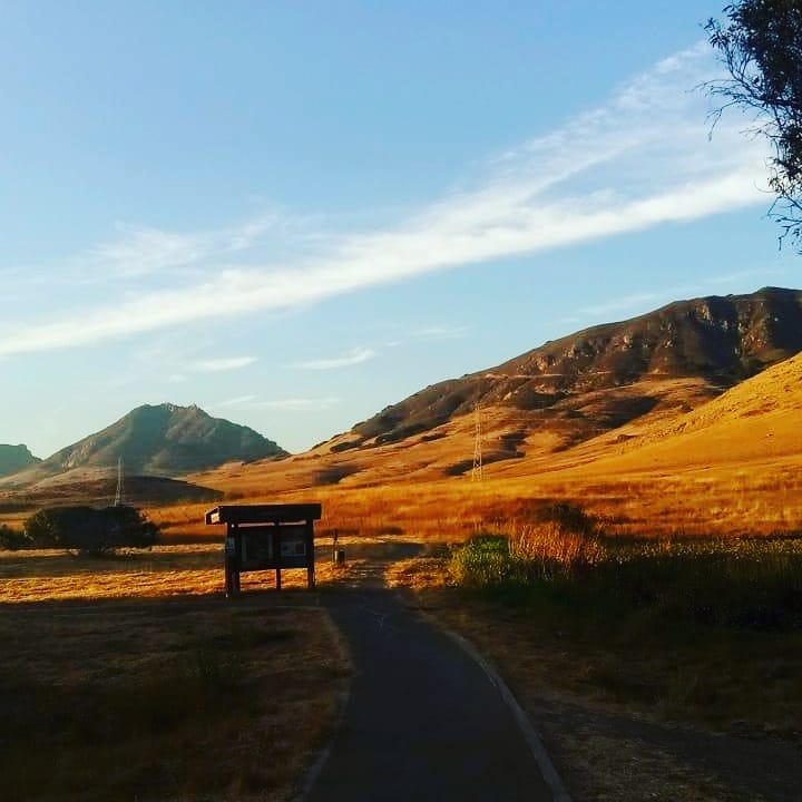 Wisdom of the&nbsp;Mountains