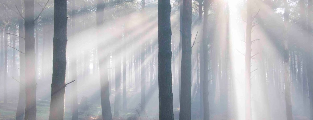 Lost in the&nbsp;World.