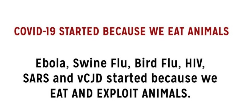 89356209_2625488554363604_1261641330325454848_n