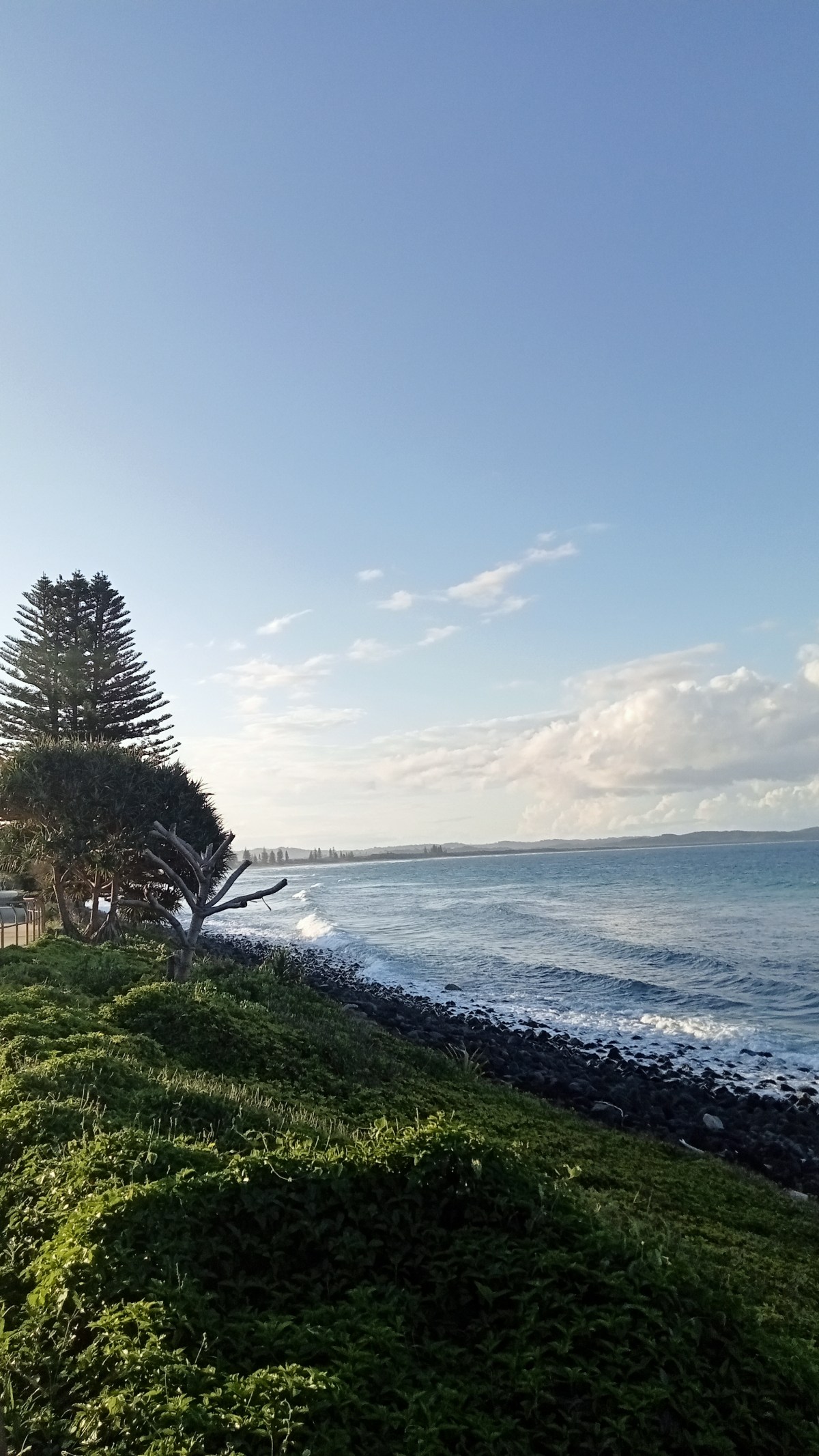 Looking Deeply at&nbsp;Reality