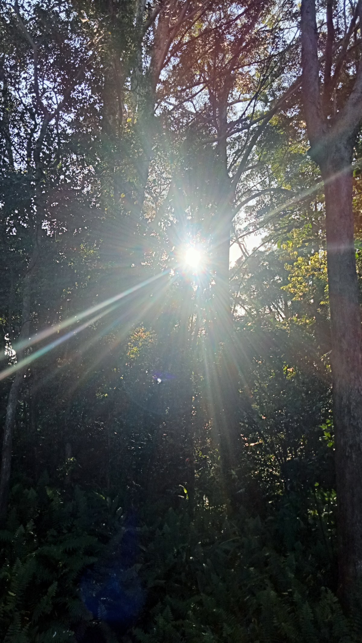 The Awaken One&nbsp;Within