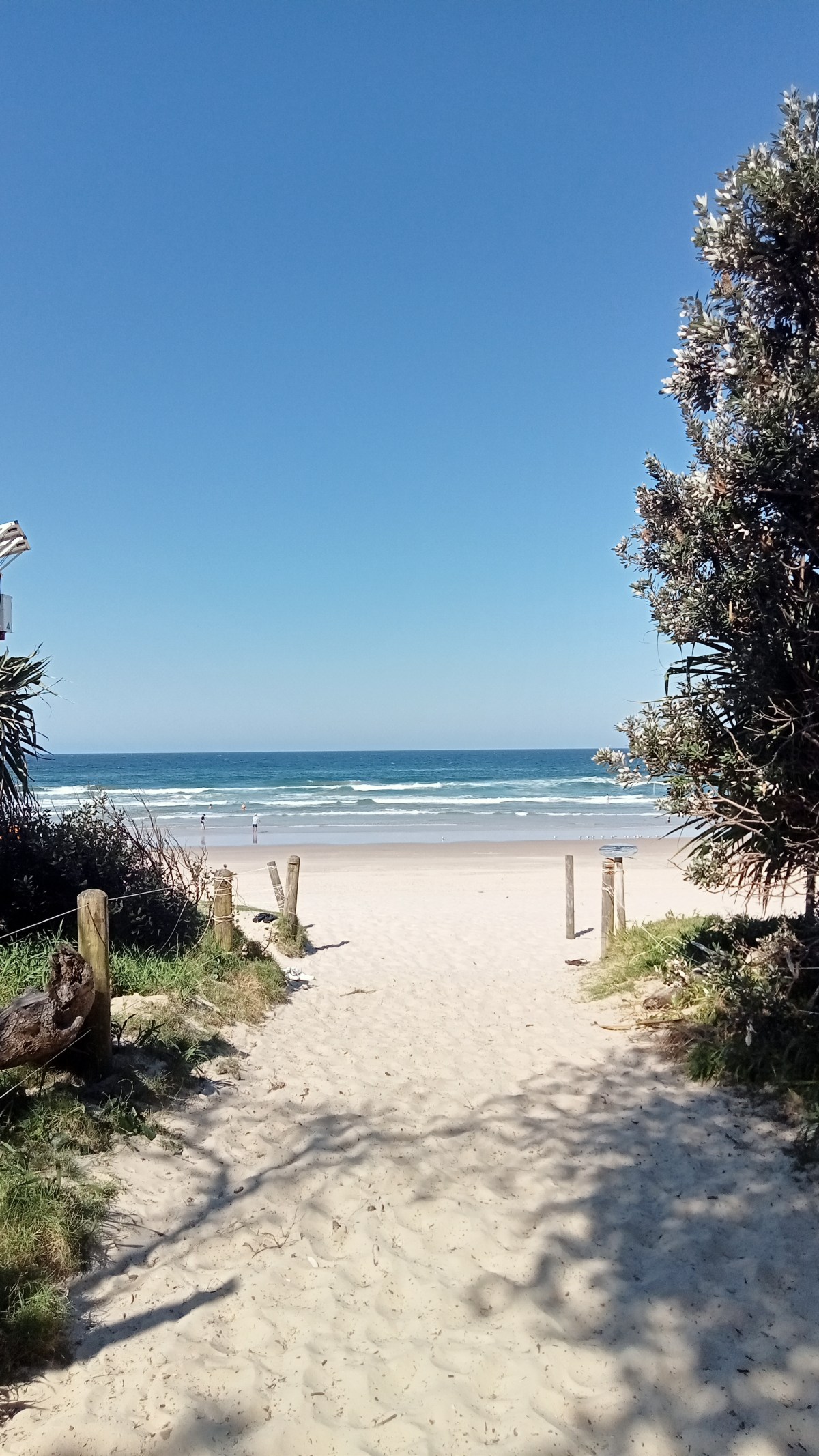 The Power of&nbsp;Gratitude