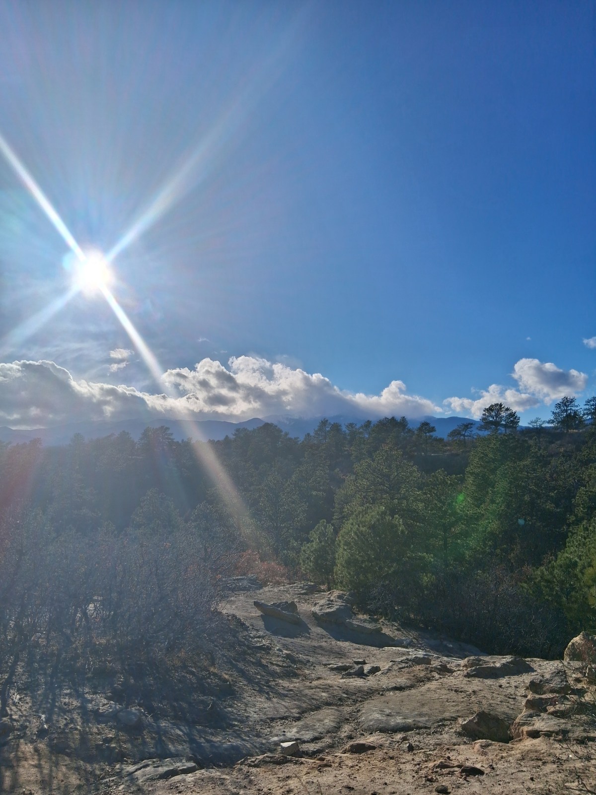 Love Will Save&nbsp;Us